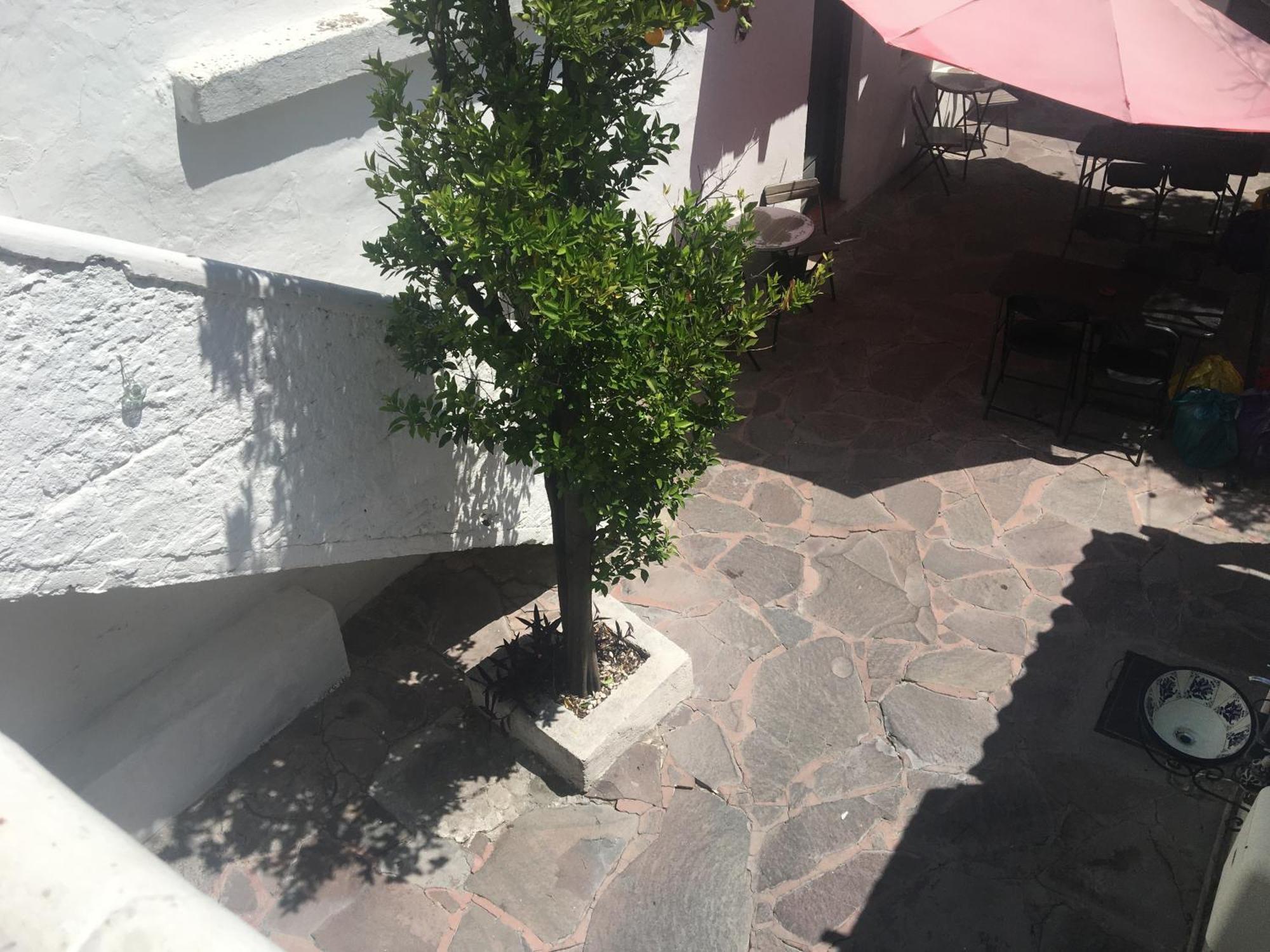 Patio Alojamiento Альенде Экстерьер фото
